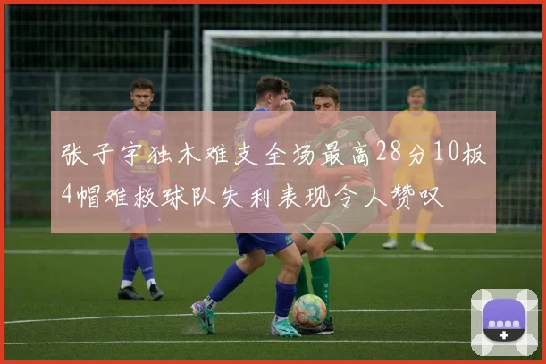 张子宇独木难支全场最高28分10板4帽难救球队失利表现令人赞叹