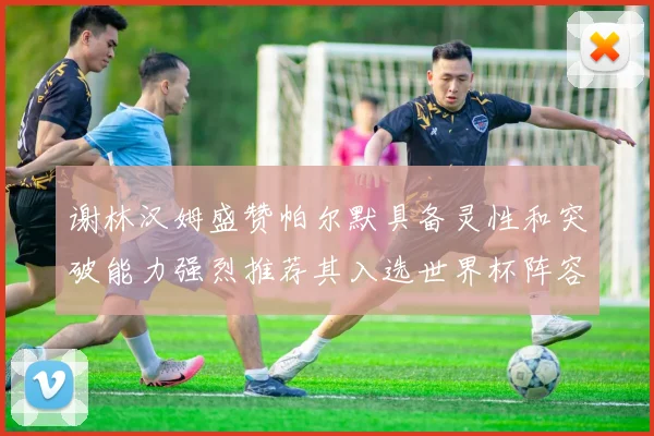谢林汉姆盛赞帕尔默具备灵性和突破能力强烈推荐其入选世界杯阵容
