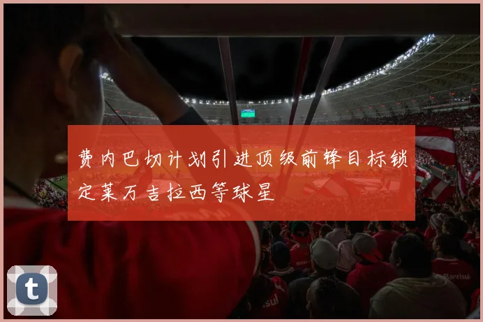 费内巴切计划引进顶级前锋目标锁定莱万吉拉西等球星